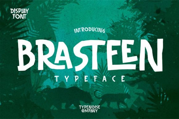 Brasteen Typeface: A Vibrant Display Font for Eye-Catching Campaign Headlines