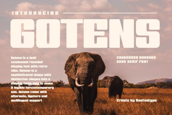 Gotens Typeface: Bold Display Font for Handmade Branding