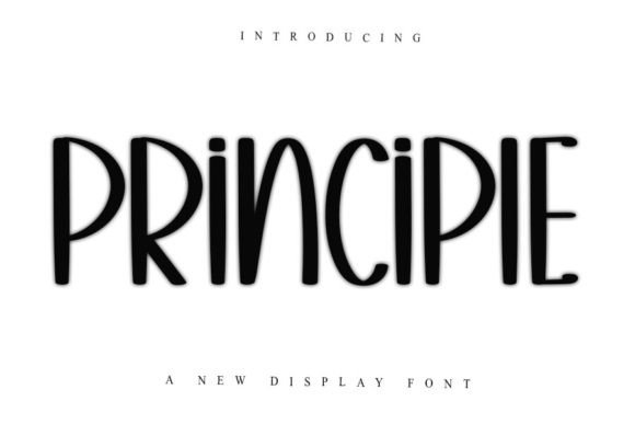 Principle: The Elegant Display Font for Handmade Creators