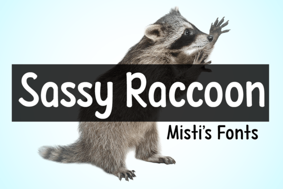 Sassy Raccoon: A Playful Display Typeface for Whimsical Branding